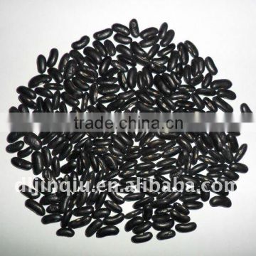 small black kidney beans