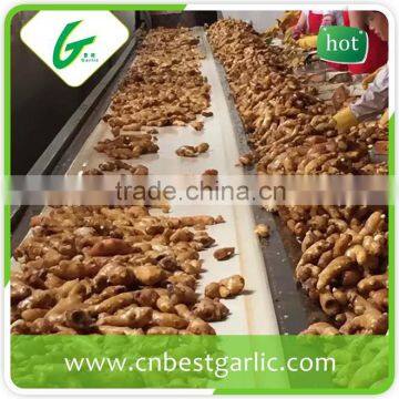 Black fresh ginger extract