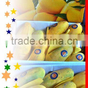 Fresh Mango