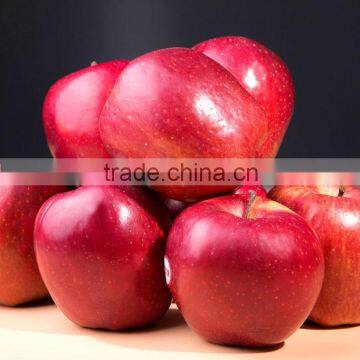 Fresh Chinese apple with high quality for sale sweet juicy huaniu apple cheap red delicious apple