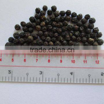 SPIRAL BLACK PEPPER 500G/L (skype & yahoo: visimex08)