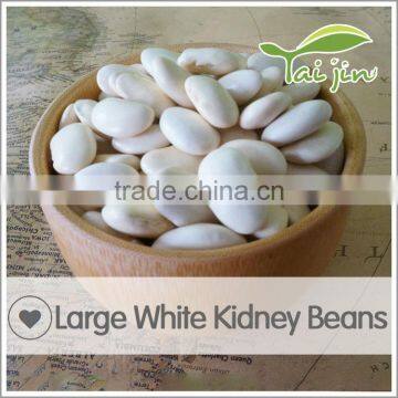 China Origin Canned Organic Large White Kidney Beans