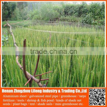 pe wire mesh bird capture net , hdpe plastic fence bird protection net , nylon fruit anti bird protective net on sale
