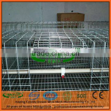 Broiler Cage for Kenya Poultry Farm Broiler Chickens