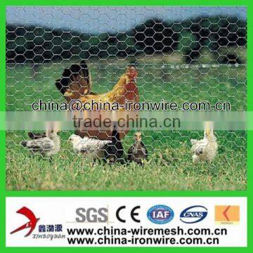 1"X20Ga Poultry Netting