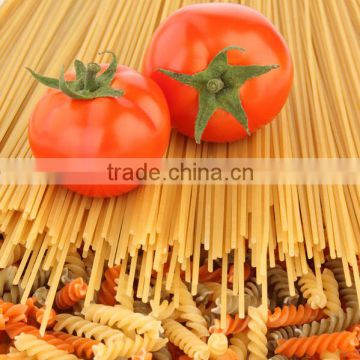 China industrial macaroni pasta machinery pasta making machine