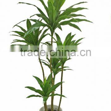 Hot sale HX010422 Brazilan lucky tree