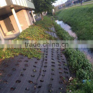 Polypropylene Sheet Ground Cover Fabric photo-4