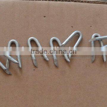 U Type Steel Nails China Supplier photo-4