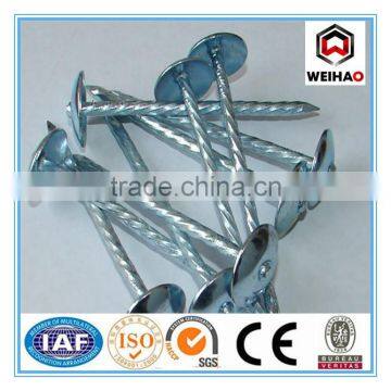 hot sale Umbrella Roofing Nail with umbrella factory