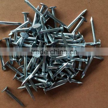 3/4''-2'' galvanized clout nails big head roofing nails for construction