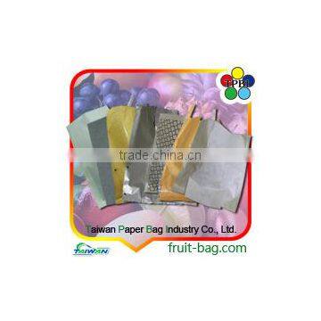 Protect Cover Pear Protection Paper Bag Fruit Protection Paper Bag photo-5