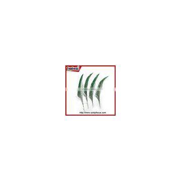 Wedding Dresses Decoration Indian Wholesale Natural Peacock Feather