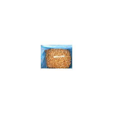Supply Frozen Nameko Mushroom photo-2