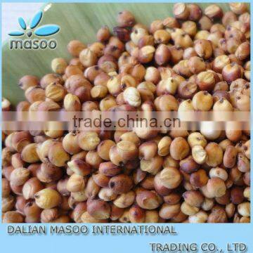 High Quality Grain Inner Mongolia Sorghum Chinese Groat