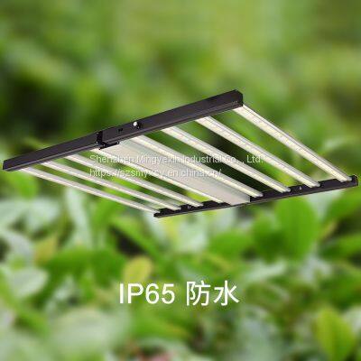 Shenzhen LED plant lamp UV full spectrum plant fill light lamp for European and American hemp growth lamp without worry after sale