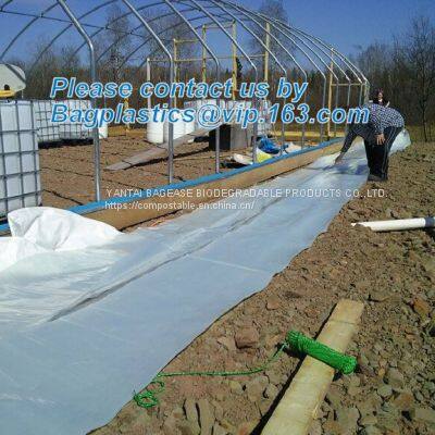 Plastic Film Agriculture Greenhouse,6 Mil Poly Anti-uv Plastic Greenhouse Film,Anti-fog UV Resistant,mushroom,TOMATO PAC photo-4