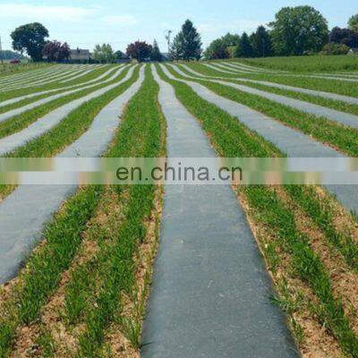 China Factory Manufacture Landscape Fabric Green Ground Cover Plastic Mulch Film photo-5