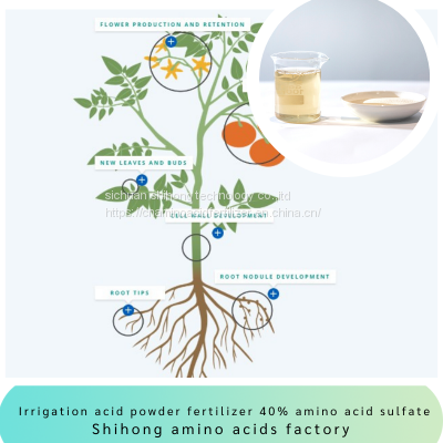 hydrolysate amino acid powder 40% content sulfate chlorine free fully water soluble for  sensitive agriculture crops