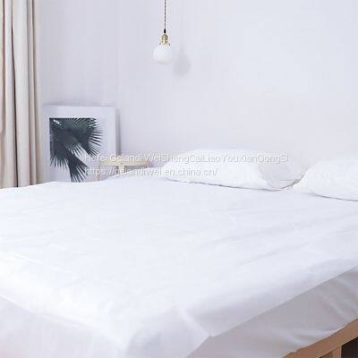 Grande 70*200cm Disposable Non-woven Bed Sheets 20g PP Bed Sheet 50 Piece/Bag Bedding photo-3