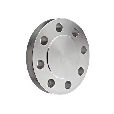 ANSI B16.5 Forged Stainless Steel Blind Blrf Flange