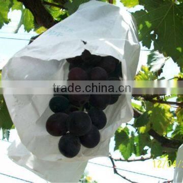 Paper Grape growing bag