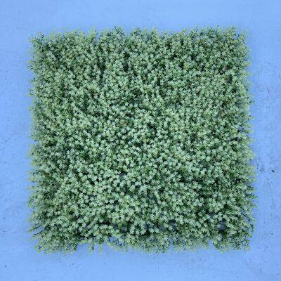 new style artificial green plant