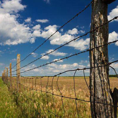 Crafts Fences Animal Deterrents Bird Feeders Gardens Real Barbed Wire Farm Fence Roll photo-2