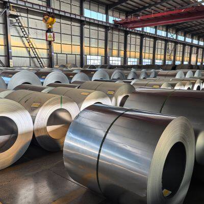 Cold Rolled Galvanized Steel Coil with Customized Zinc Coating and Width