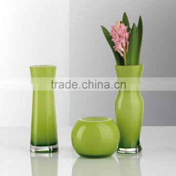 Flower Glass Vase; Glass Vase set;