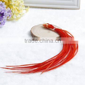 New Arrival Hot Whiting Rooster Feathers Rooster Tail Feathers Feathers For Sale Cheap Long Rooster Feathers Good Quality photo-4