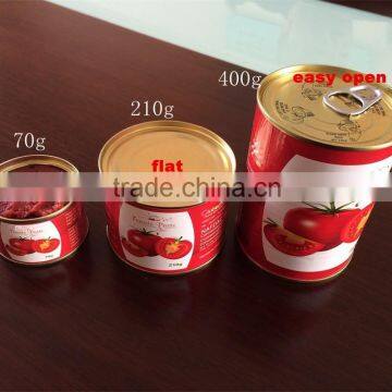 Solid Form and Sauce Product Type Canned Tomato paste 400g