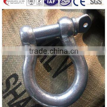 Electrial Galvanized European Standard D and Bow Shackle photo-4