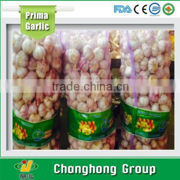 Factory Directly Supply new crop Fresh Garlics