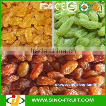 Import dried fruit for Grapes