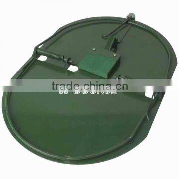 Bird trap