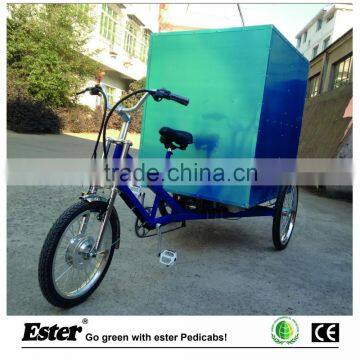 Three Wheel Electric Cargo Trike