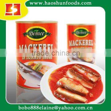 Canned Mackerel in Tomato Sauce