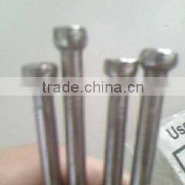 Jolt Head Common Nails,Factory