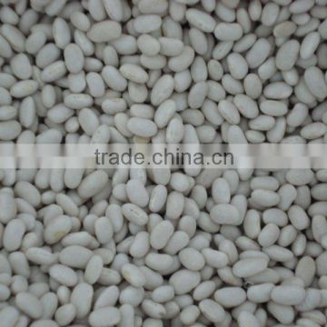 white kidney beans japanese type