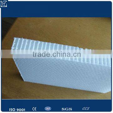 PC Honeycomb Core Plastic Sheet photo-2