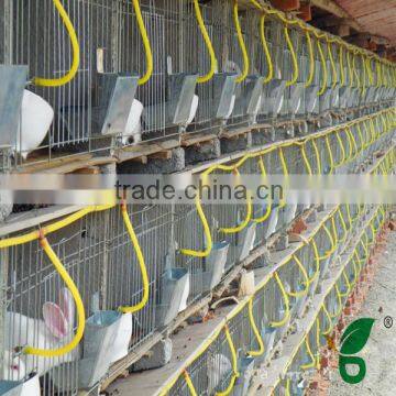 Rabbit Cage Design With Feeder and Drinker photo-4