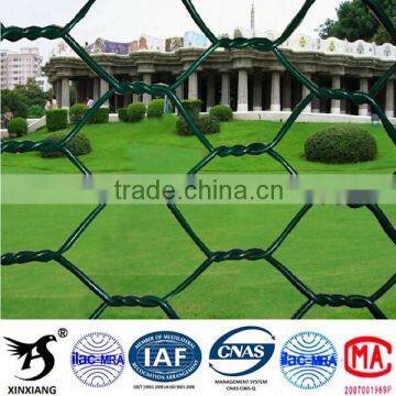 Electro Galvanized Hex Wire Netting