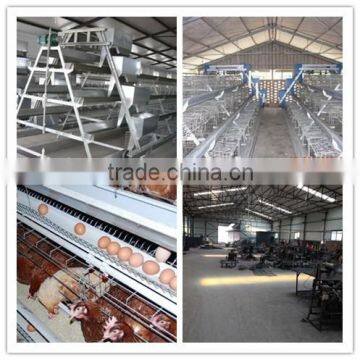 200 chickens large chicken house for sale