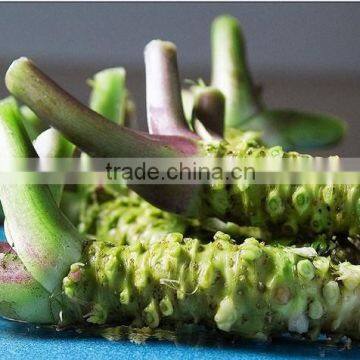 Wasabi price reasonable