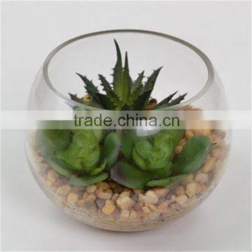 Gift Creative Artificial Plant Round Terrarium