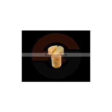 Brass slotted stop Plug