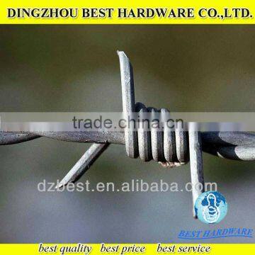 hot dipped single strand twist strand galvanized Barbed Wire factory