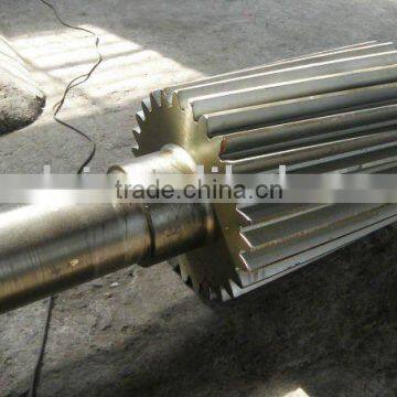 Gear Shaft