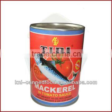 canned mackerel from chile 425gX24tins